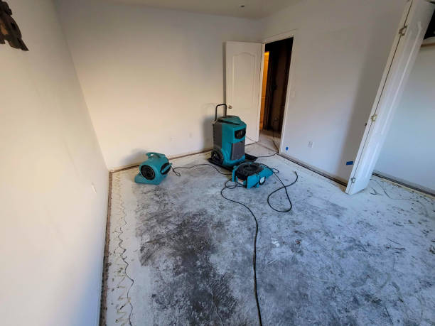 Best Mold removal after water damage  in Charleston, IL