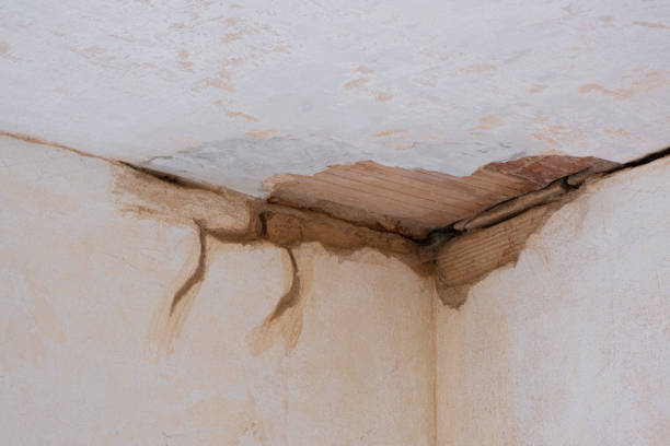 Best Flood restoration services  in Charleston, IL