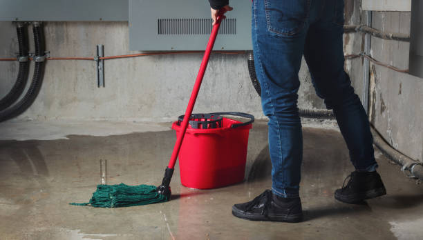Best 24/7 water damage repair  in Charleston, IL
