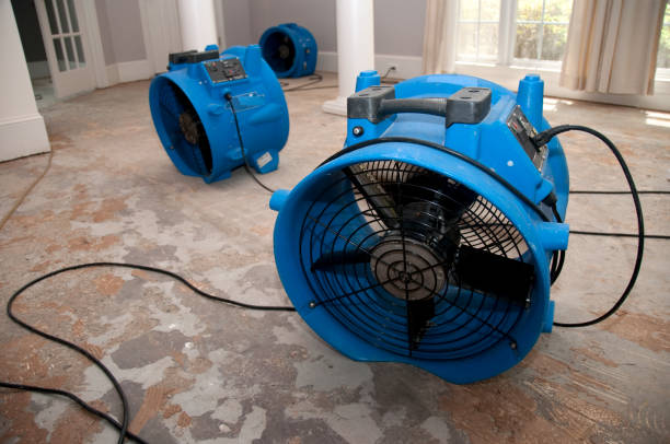  Charleston, IL Water damage restoration Pros