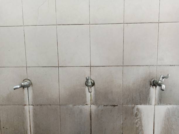 Best Water damage restoration near me  in Charleston, IL